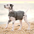 Dog Anxiety Calming Vest